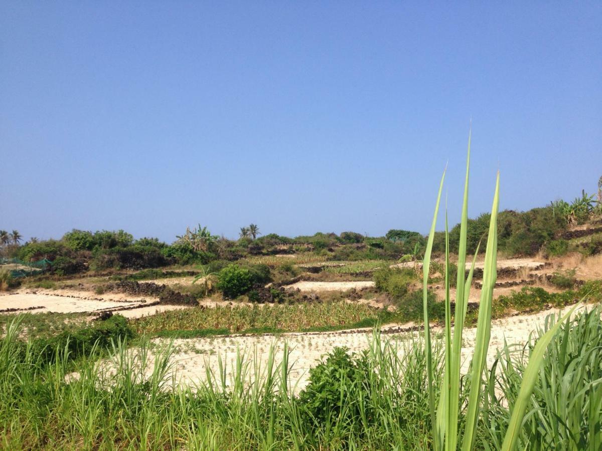 קוואנג נגאי Countryside Homestay מראה חיצוני תמונה